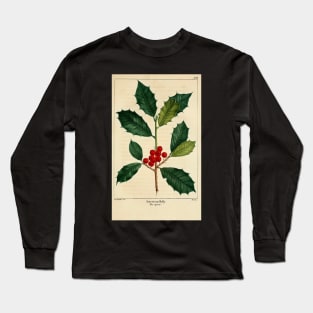 christmas post card mistletoe berries green american holly Long Sleeve T-Shirt